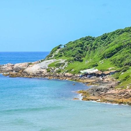 הוילה פראייה דו רוזה Casas A 200 Metros Do Mar . מראה חיצוני תמונה